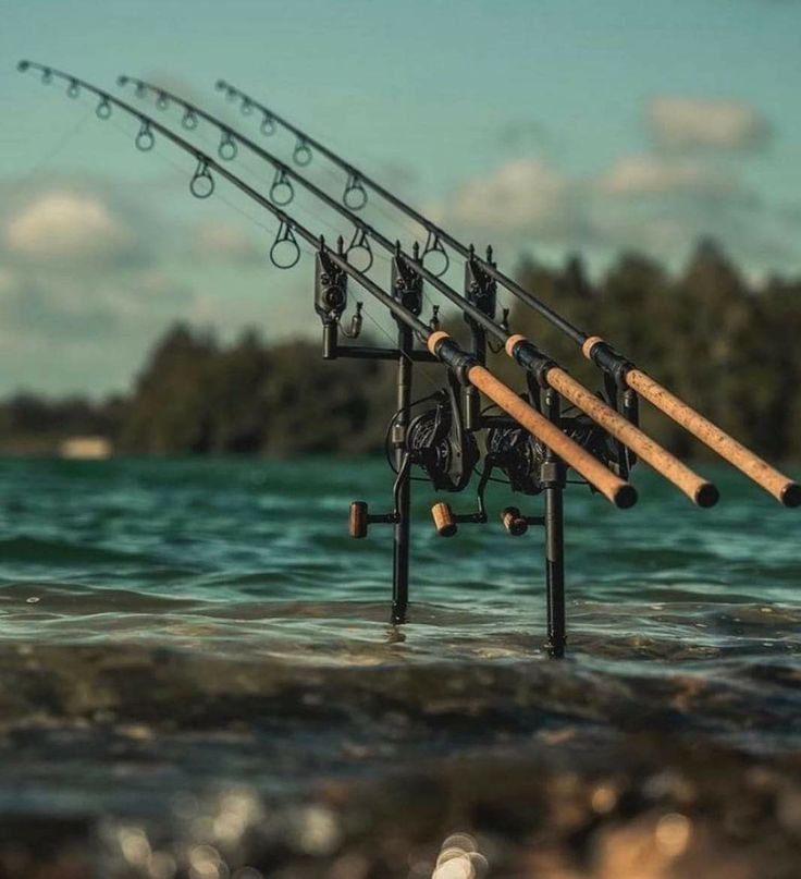 Hengelsport in hellevoetsluis