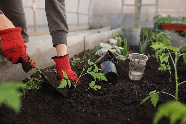Tuinman in hellevoetsluis